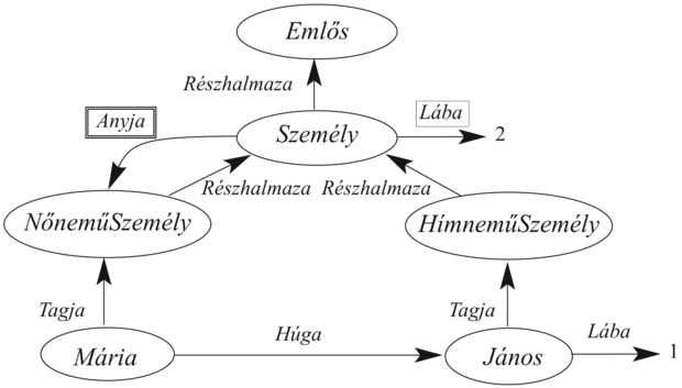 Egy szemantikus háló négy objektummal (János, Mária, 1 és 2) és négy kategóriával. A relációkat a címkézett élek jelölik