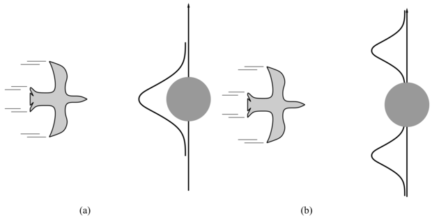 Egy fa felé repülő madár (felülnézetben). (a) Egy Kalman-szűrő előrejelzése a madár helyzetére, ami egyetlen Gauss-eloszlás az akadály közepére illesztve. (b) Egy valósághűbb modell számításba veszi a madár elkerülő manővereit, és azt jelzi előre, hogy az egyik vagy a másik oldalon fog elszállni.