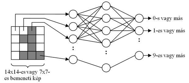neurális hálózat kereskedési algoritmusa