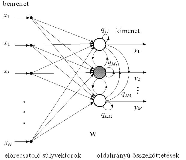 Versengő tanulással tanított hálózat (Kohonen-háló)